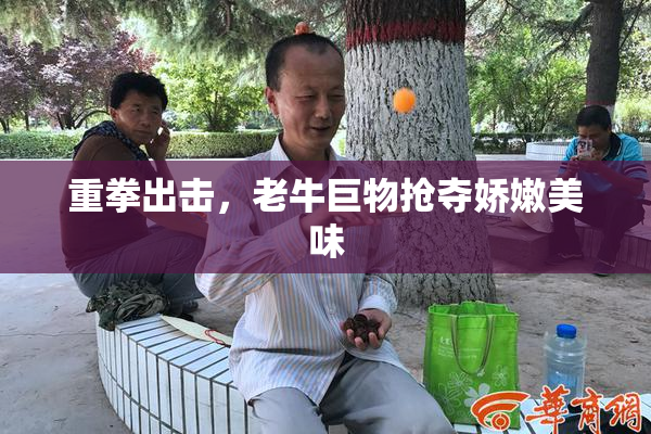 重拳出击，老牛巨物抢夺娇嫩美味