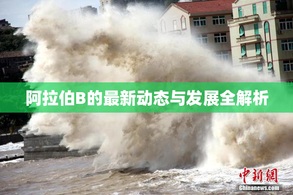 阿拉伯B的最新动态与发展全解析