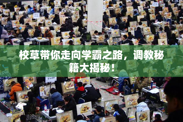 校草带你走向学霸之路，调教秘籍大揭秘！