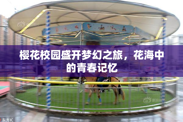 樱花校园盛开梦幻之旅，花海中的青春记忆