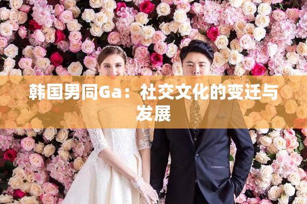 韩国男同Ga：社交文化的变迁与发展