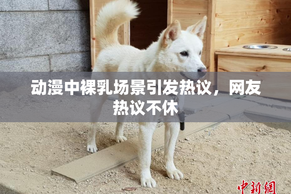 动漫中裸乳场景引发热议，网友热议不休