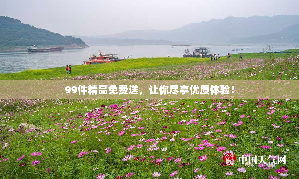 99件精品免费送，让你尽享优质体验！