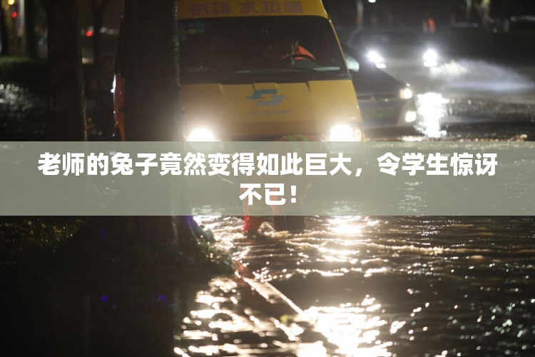老师的兔子竟然变得如此巨大，令学生惊讶不已！