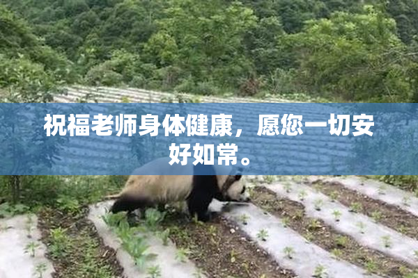 祝福老师身体健康，愿您一切安好如常。