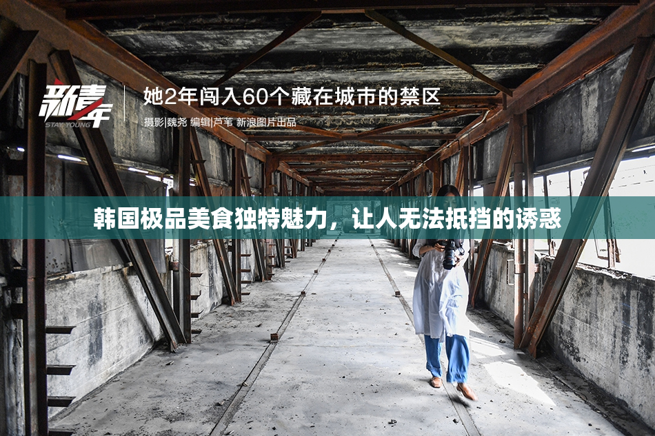韩国极品美食独特魅力，让人无法抵挡的诱惑