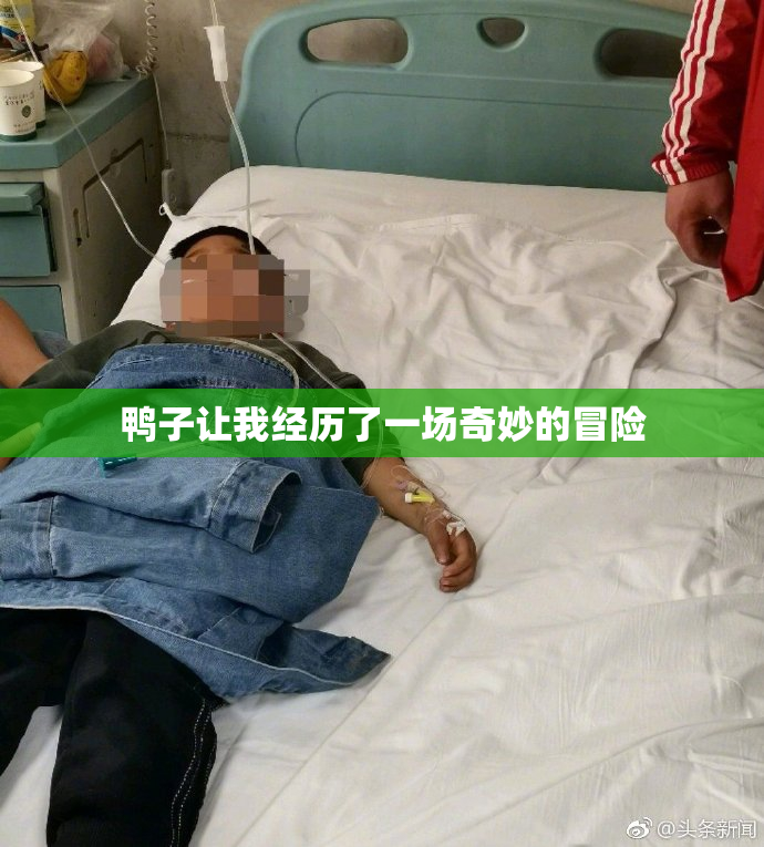 鸭子让我经历了一场奇妙的冒险