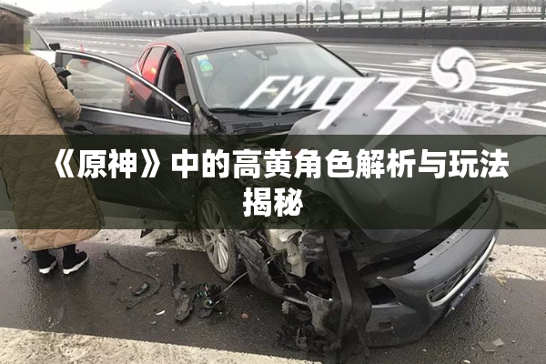 《原神》中的高黄角色解析与玩法揭秘