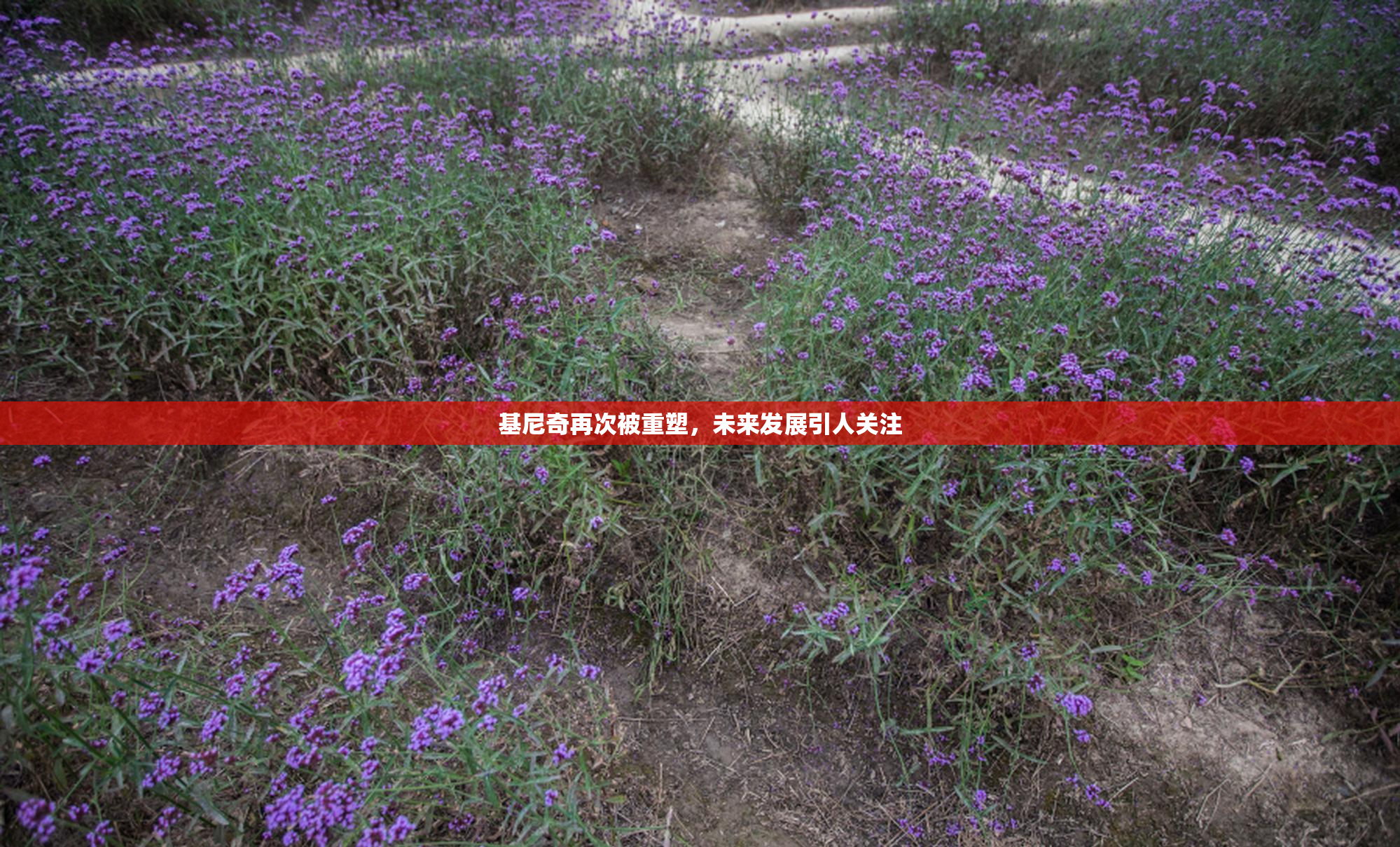 基尼奇再次被重塑，未来发展引人关注