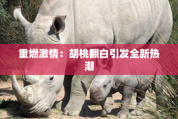 重燃激情：胡桃翻白引发全新热潮