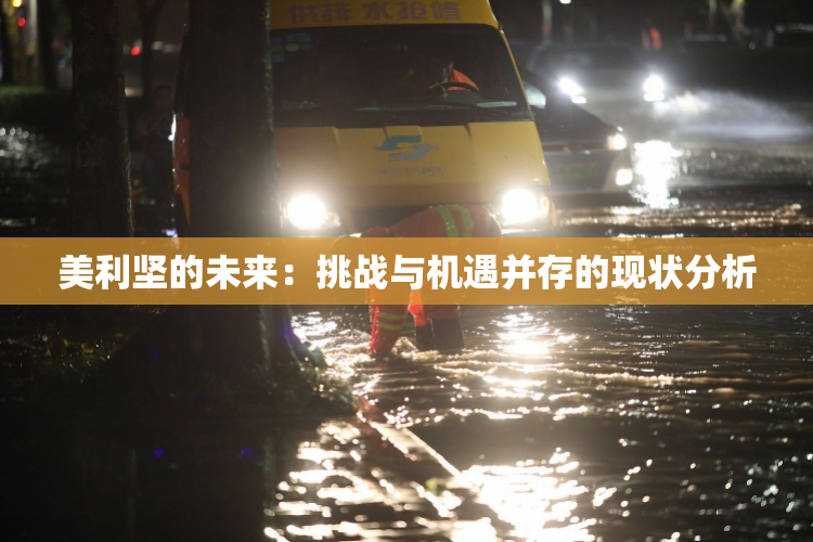 美利坚的未来：挑战与机遇并存的现状分析