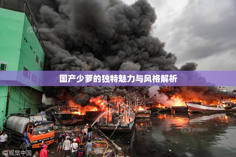 国产少萝的独特魅力与风格解析