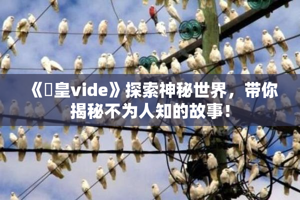 《嘼皇vide》探索神秘世界，带你揭秘不为人知的故事！