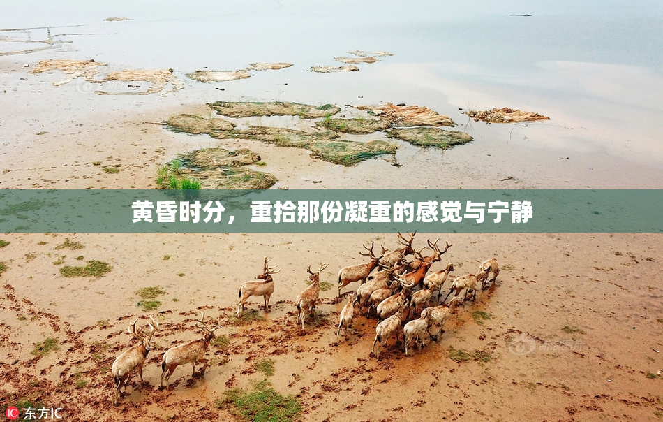 黄昏时分，重拾那份凝重的感觉与宁静