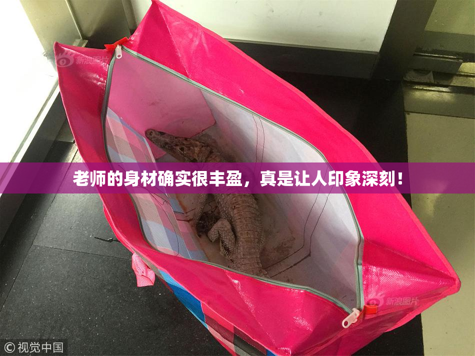 老师的身材确实很丰盈，真是让人印象深刻！