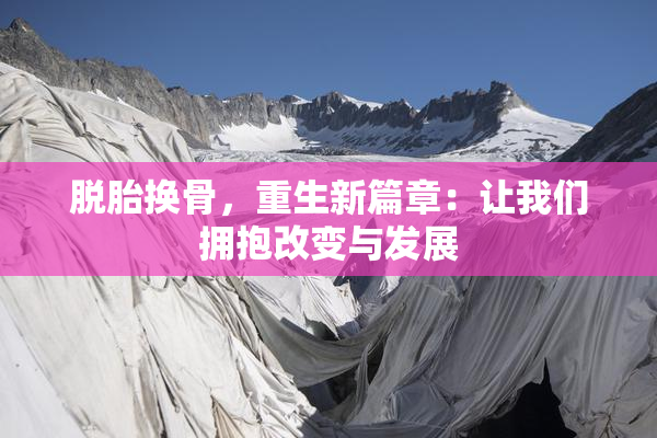 脱胎换骨，重生新篇章：让我们拥抱改变与发展