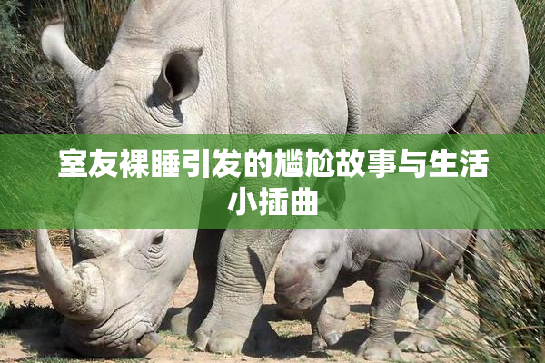室友裸睡引发的尴尬故事与生活小插曲