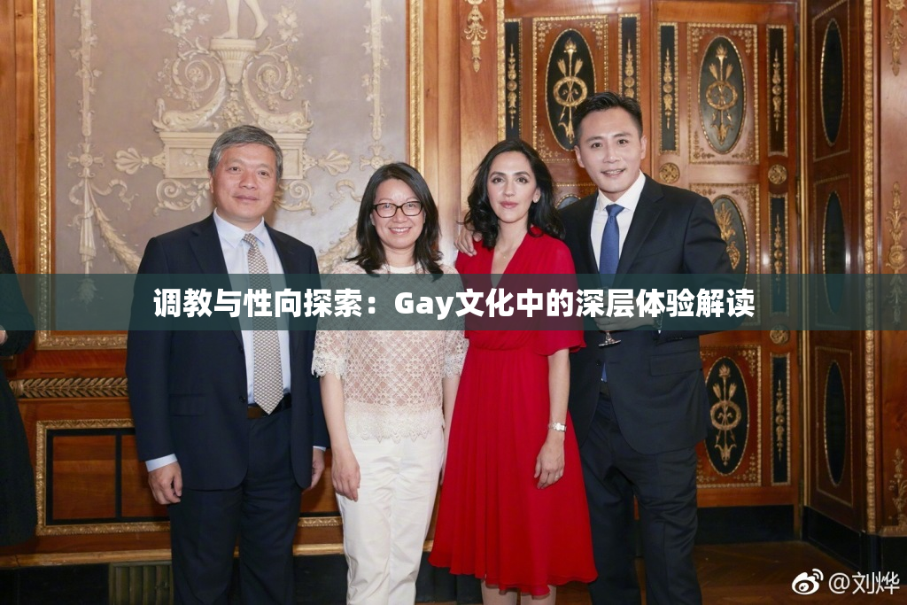 调教与性向探索：Gay文化中的深层体验解读