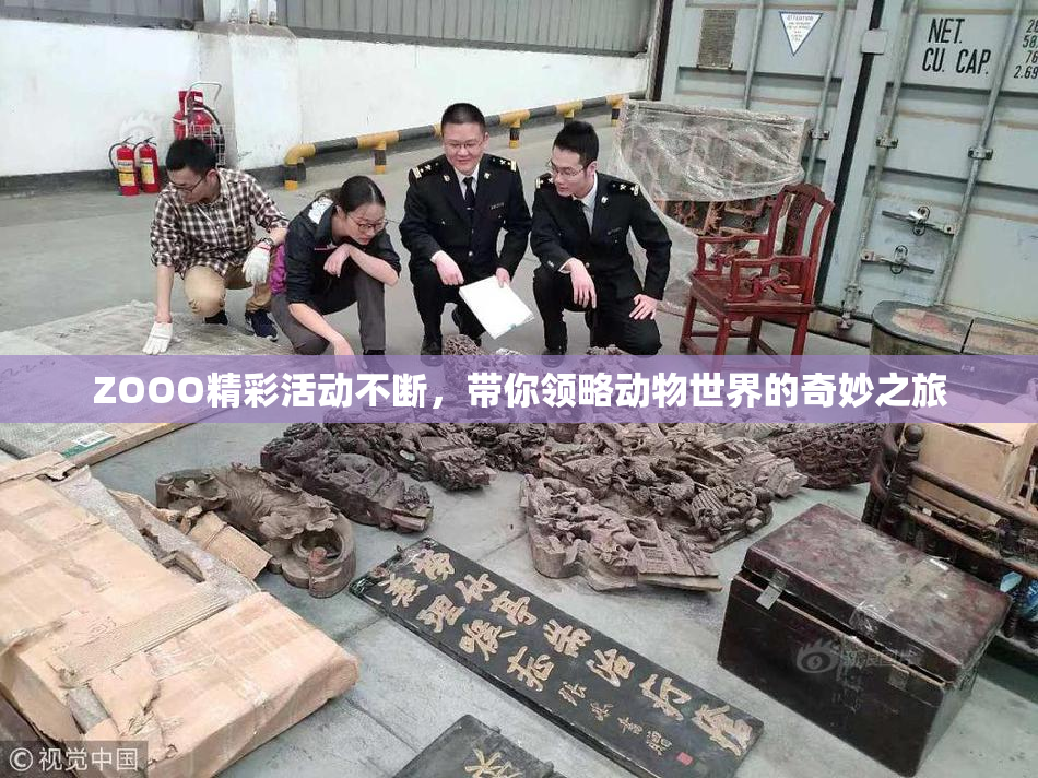 ZOOO精彩活动不断，带你领略动物世界的奇妙之旅