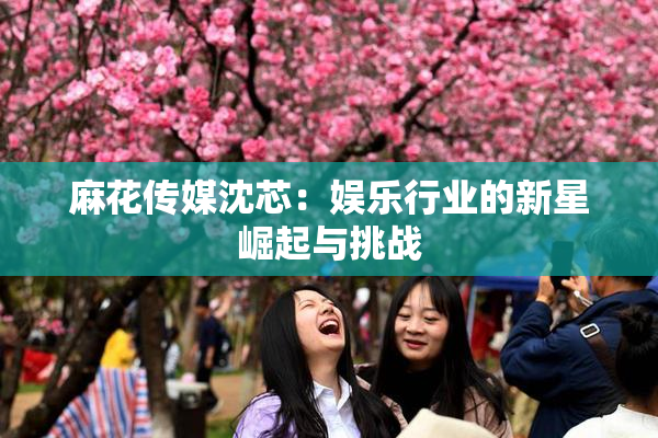 麻花传媒沈芯：娱乐行业的新星崛起与挑战