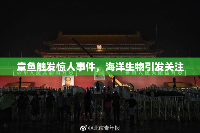 章鱼触发惊人事件，海洋生物引发关注