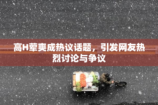 高H荤爽成热议话题，引发网友热烈讨论与争议