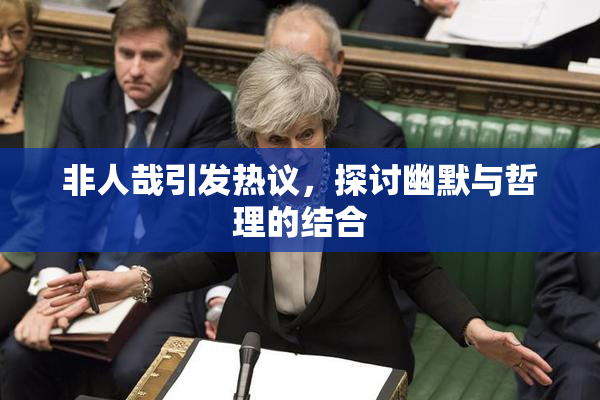 非人哉引发热议，探讨幽默与哲理的结合