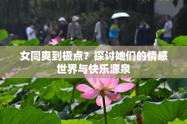 女同爽到极点？探讨她们的情感世界与快乐源泉