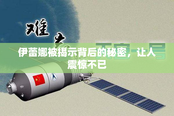 伊蕾娜被揭示背后的秘密，让人震惊不已