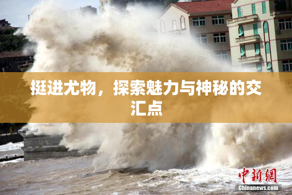 挺进尤物，探索魅力与神秘的交汇点