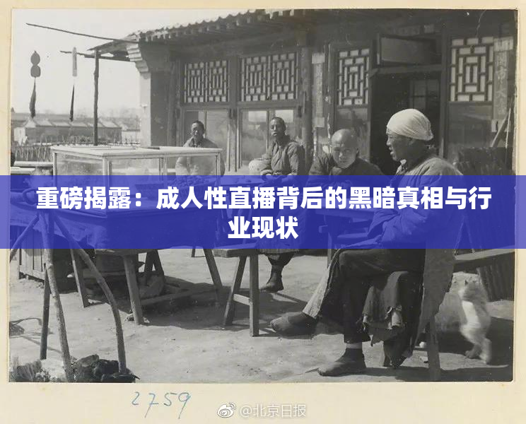 重磅揭露：成人性直播背后的黑暗真相与行业现状