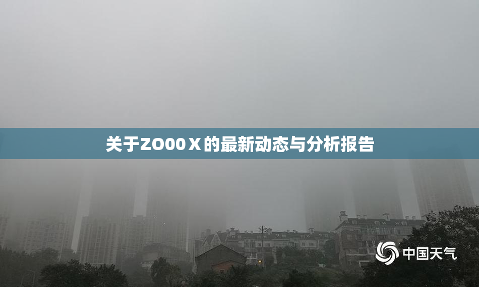 关于ZO00Ⅹ的最新动态与分析报告