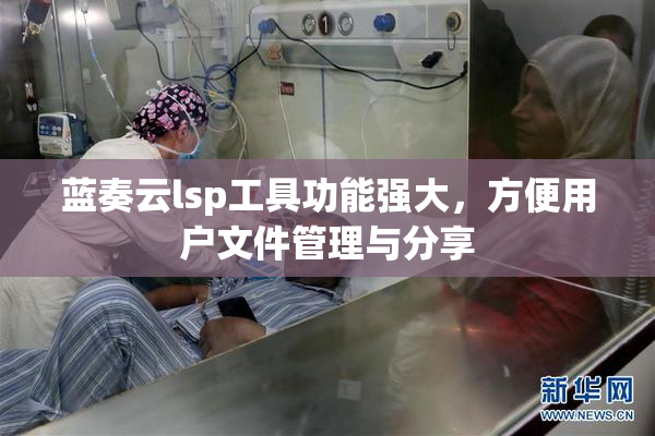 蓝奏云lsp工具功能强大，方便用户文件管理与分享