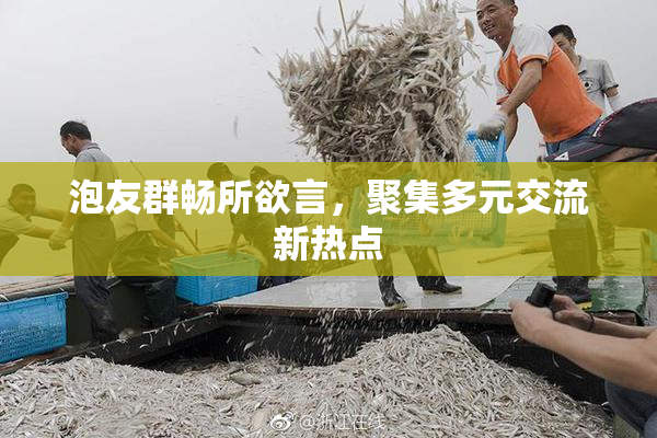泡友群畅所欲言，聚集多元交流新热点