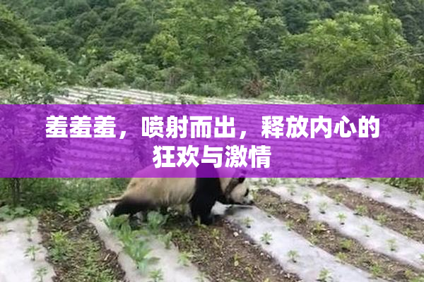 羞羞羞，喷射而出，释放内心的狂欢与激情