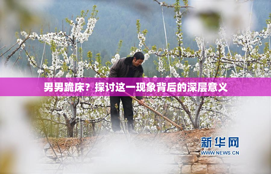 男男跪床？探讨这一现象背后的深层意义