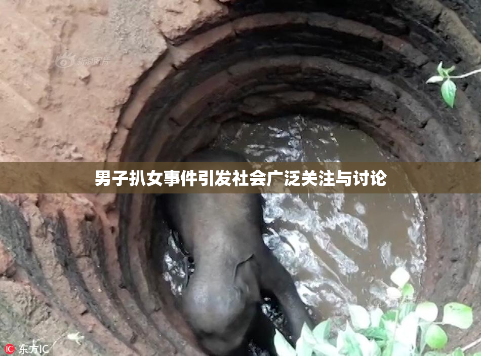 男子扒女事件引发社会广泛关注与讨论