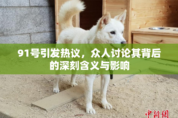 91号引发热议，众人讨论其背后的深刻含义与影响