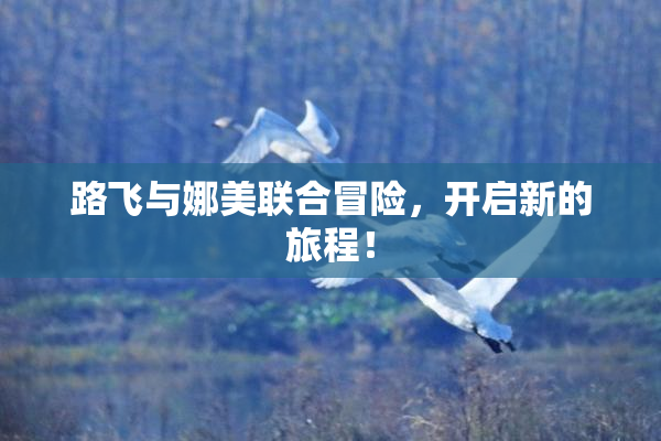 路飞与娜美联合冒险，开启新的旅程！