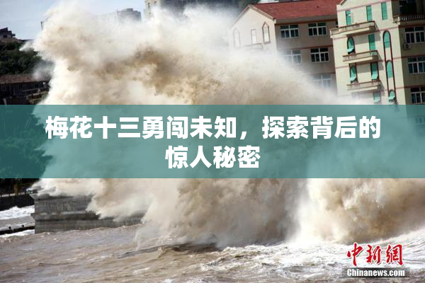 梅花十三勇闯未知，探索背后的惊人秘密