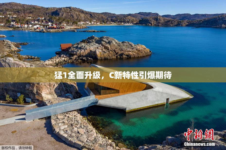 猛1全面升级，C新特性引爆期待
