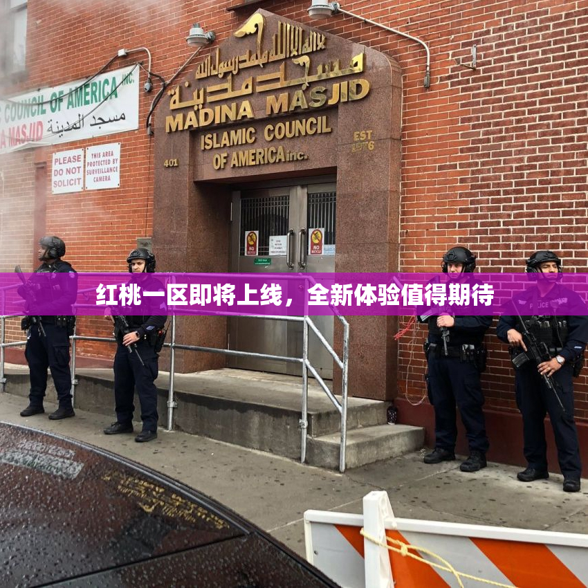 红桃一区即将上线，全新体验值得期待