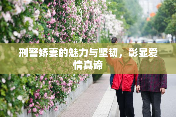 刑警娇妻的魅力与坚韧，彰显爱情真谛