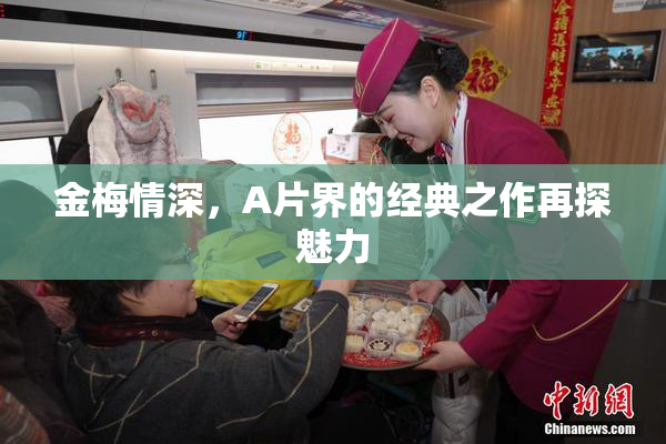 金梅情深，A片界的经典之作再探魅力
