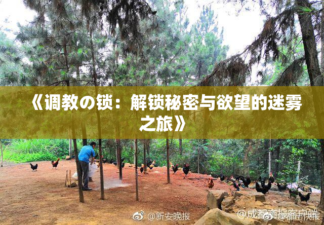 《调教の锁：解锁秘密与欲望的迷雾之旅》