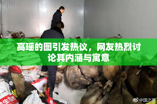 高瑶的图引发热议，网友热烈讨论其内涵与寓意