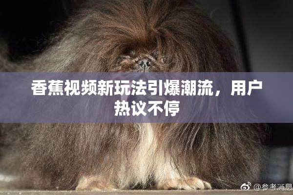 香蕉视频新玩法引爆潮流，用户热议不停
