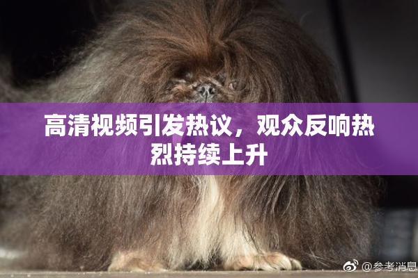 高清视频引发热议，观众反响热烈持续上升