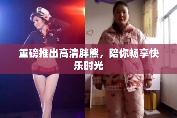 重磅推出高清胖熊，陪你畅享快乐时光