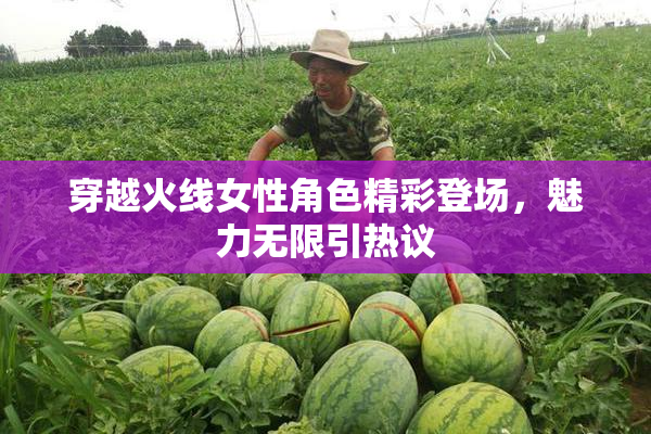 穿越火线女性角色精彩登场，魅力无限引热议